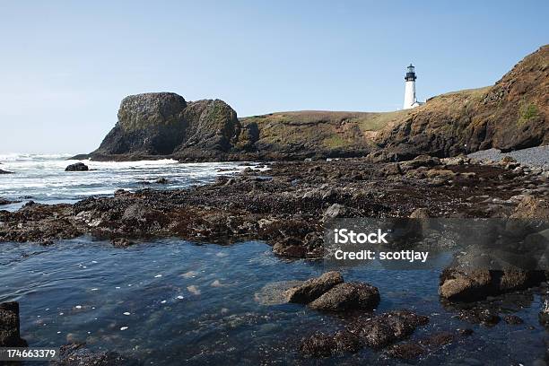 Farol De Yaquina Head - Fotografias de stock e mais imagens de Oregon - Estado dos EUA - Oregon - Estado dos EUA, Piscina de marés, Beira d'Água