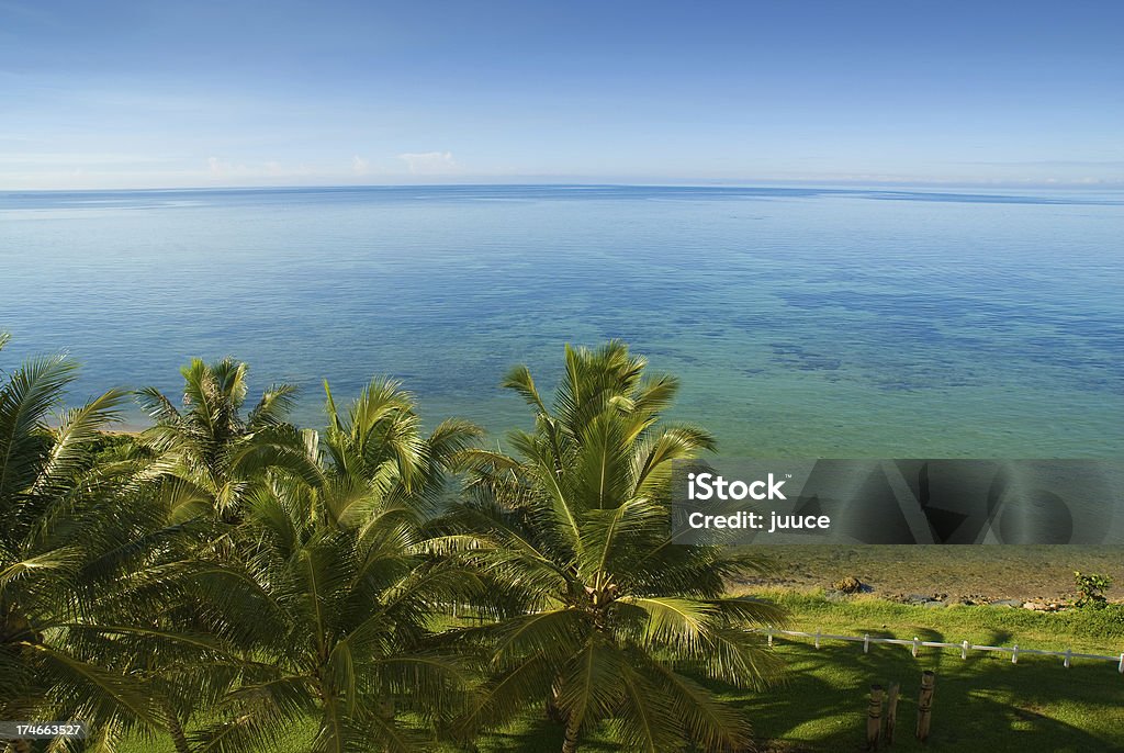 blue sky and palm trees at Noumea Bay Palm trees and blue water. New Caledonia Stock Photo