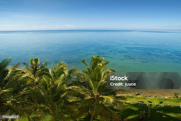 Blue Sky And Palm Trees At Noumea Bay Stock Photo - Download Image Now - New Caledonia, 2008, Beach