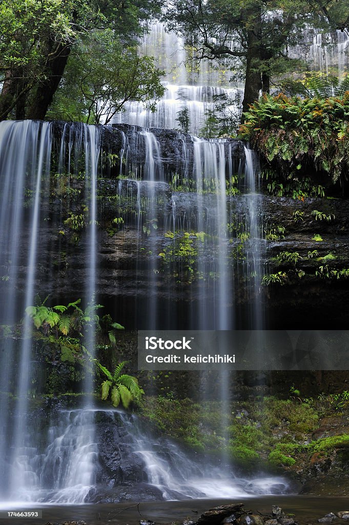 Wasserfall Russell Falls - Lizenzfrei Australien Stock-Foto