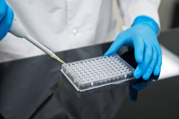 istock Midsection of young male biochemist using pipette over multi well plate at laboratory 1746640246