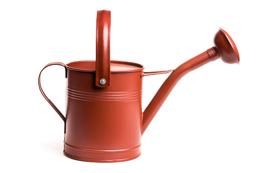 A red painted metal watering can, a piece of old-fashioned gardening equipment. Isolated on a white background.