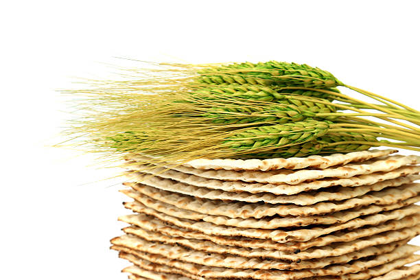 Close up of fresh wheat laying atop a pile of Matzoh [url=http://www.istockphoto.com/file_search.php?action=file&lightboxID=6013607][img]http://farm5.static.flickr.com/4096/4755352852_a99a55e504_m.jpg?v=0[/img]

[/url] flatbread photos stock pictures, royalty-free photos & images
