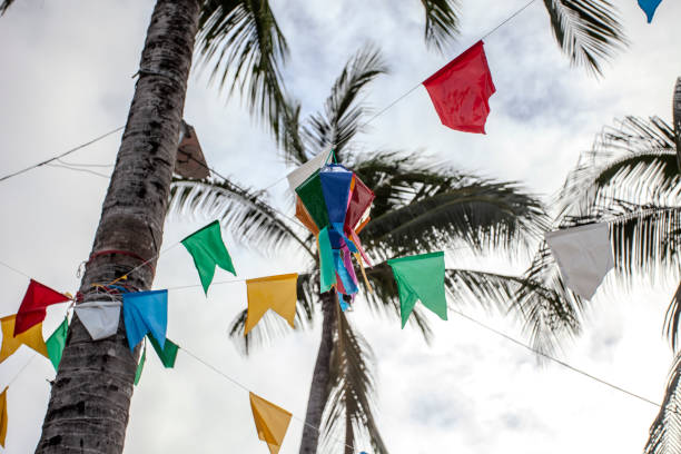 istock Brazilian Festa Junina theme background 1746643774