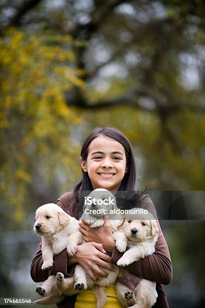 귀여운 여자아이 화이트 자신의 퍼피즈 강아지-어린 동물에 대한 스톡 사진 및 기타 이미지 - 강아지-어린 동물, 개, 개념