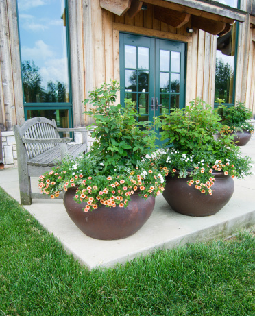 Large flower pots decorate an outdoor patio of a log building.