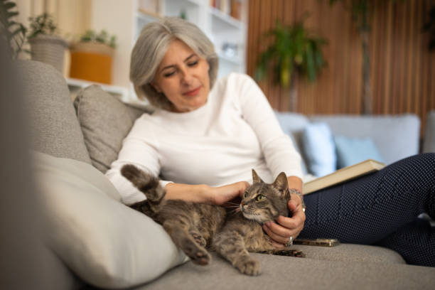 istock Mature woman petting her cat 1746660045