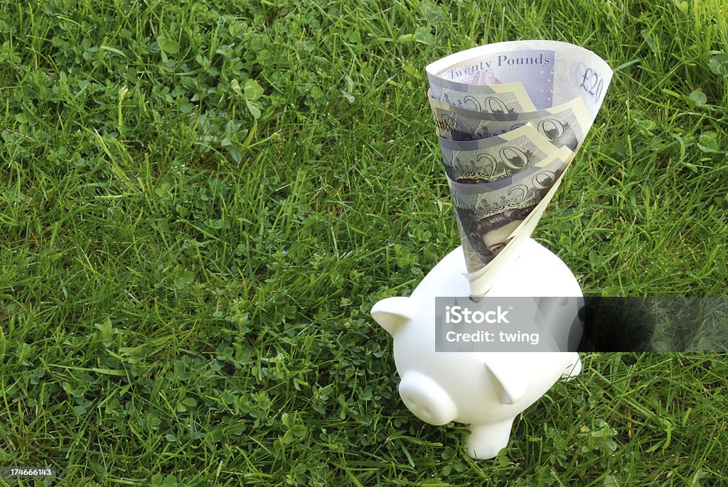 Piggy bank with notes "White piggy bank with roll of &#163;20 bank notes on green glass background.With copy space and blank piggy bank eye to maximum design elements.Large depth of field, focusing on both of the main objects." Abundance Stock Photo