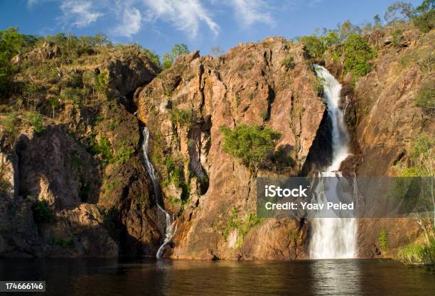 De Florença Parque Nacional De Litchfield - Fotografias de stock e mais imagens de Austrália - Austrália, Território do Norte, Ao Ar Livre