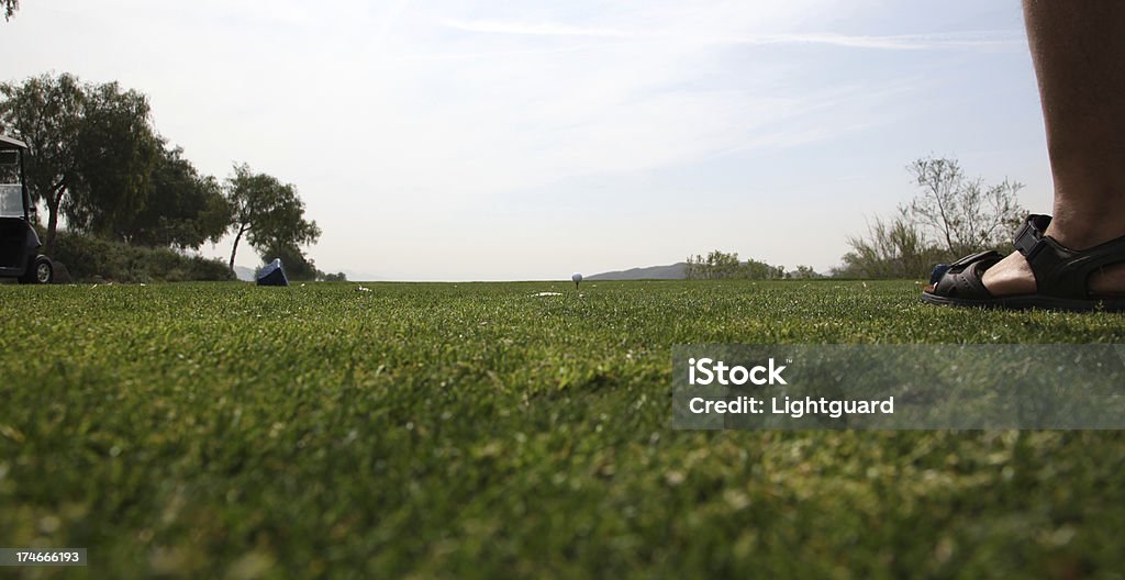 ゴルフの芝生 - グリーンのロイヤリティフリーストックフォト
