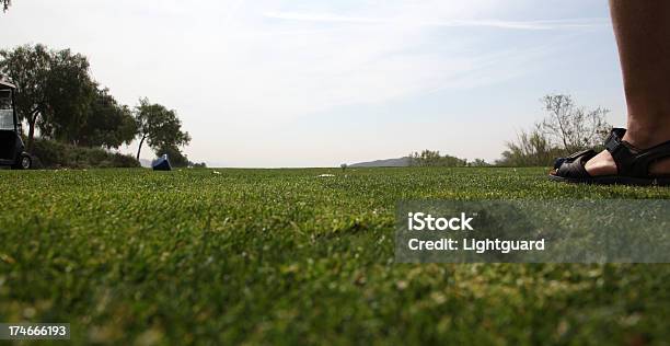 ゴルフの芝生 - グリーンのストックフォトや画像を多数ご用意 - グリーン, ゴルフ, ゴルフのティー