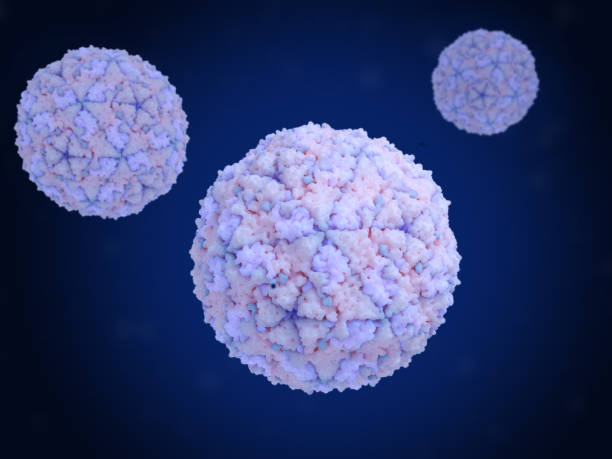istock The  foot-and-mouth disease virus 1746663546