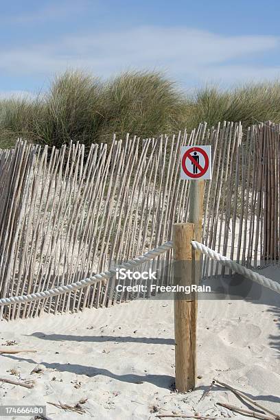 Não Ir Para O Dunes - Fotografias de stock e mais imagens de Andar - Andar, Ao Ar Livre, Autoridade