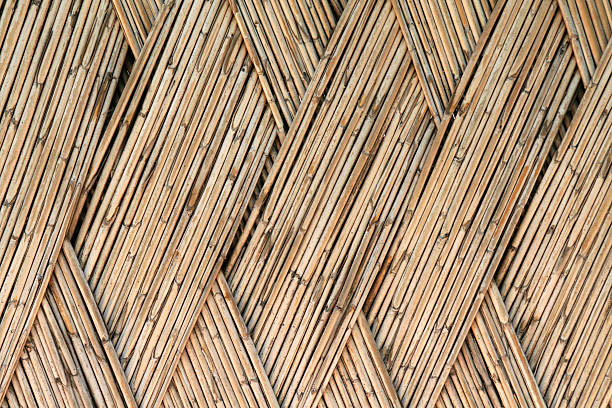 South Pacific Pattern stock photo