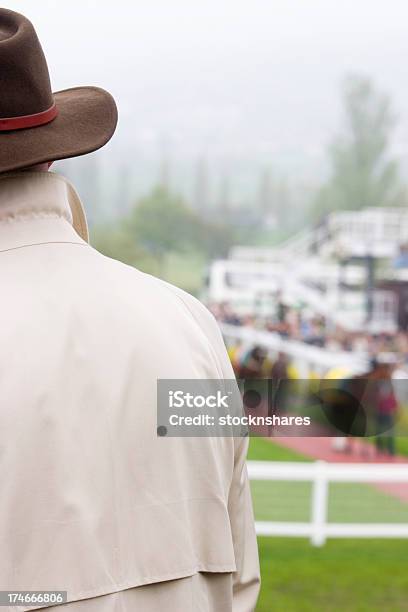 Photo libre de droit de Vérification Chevaux Dans Le Paddock banque d'images et plus d'images libres de droit de Adulte - Adulte, Adulte d'âge mûr, Beige