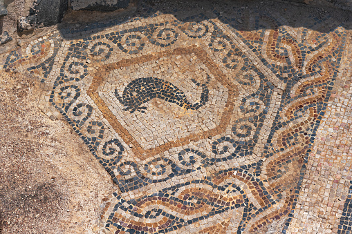 Bet Shean, Israel - August 13, 2023: Fish whale mosaic floor ruin at the ancient Roman city of Bet Shean, Israel