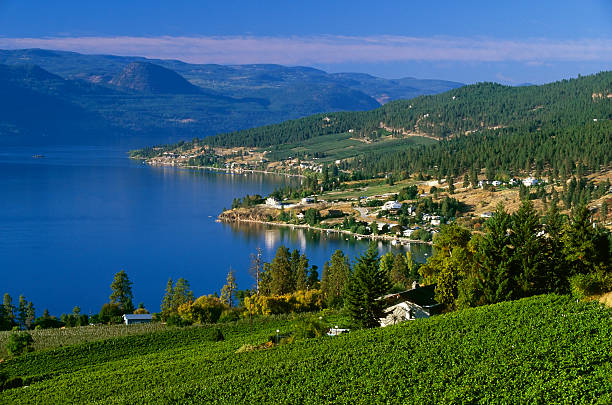 estabelecimento vinícola lago paisagem rural - okanagan valley imagens e fotografias de stock