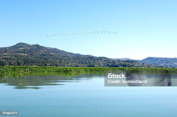 Uccelli Che Volano In Formazione Su Suchitlan Lago El Salvador - Fotografie stock e altre immagini di El Salvador