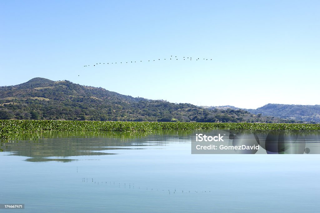 Pássaros voar em formação sobre Suchitlan Lago, El Salvador - Royalty-free El Salvador Foto de stock