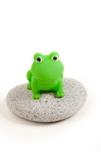 A green frog on the rock. XXXL. No copyright on items and packaging.