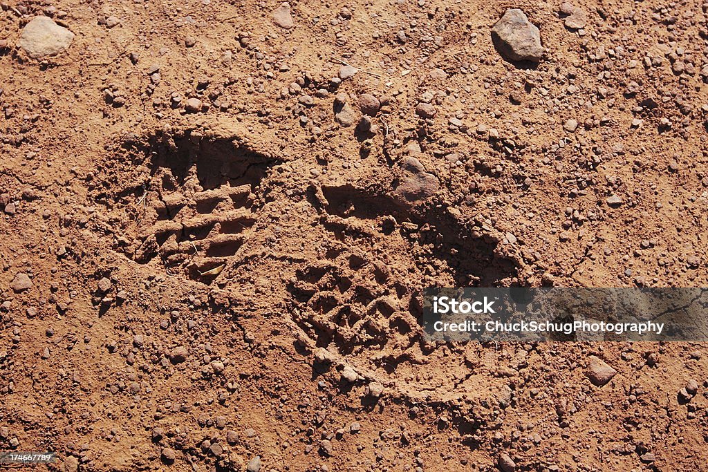 Sapato botinha presença do deserto caminhadas atleta do solo - Foto de stock de Pegada royalty-free