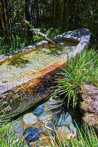 Image of Bamboo around Shishi odoshi stone canoe with colorful cobblestones in Japanese Tea Garden