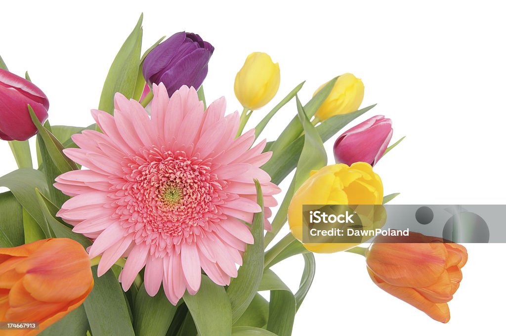 Bouquet (XL) resorte - Foto de stock de Buqué libre de derechos