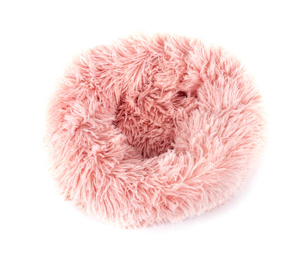 istock cushion for dog or cat 1746682218