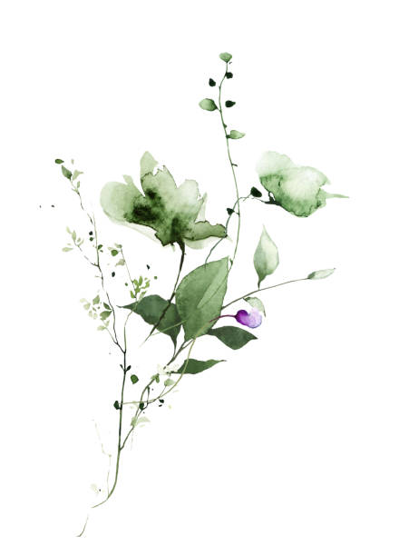 istock Watercolor painted meadow greenery bouquet on white background. Green wild plants, branches, leaves and twigs. 1746683047