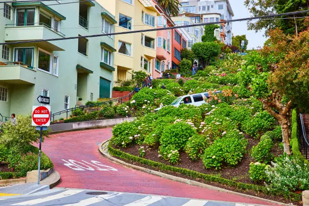 Photo of Bottom of Lombard Street with car winding down flower riddled hill toward stop