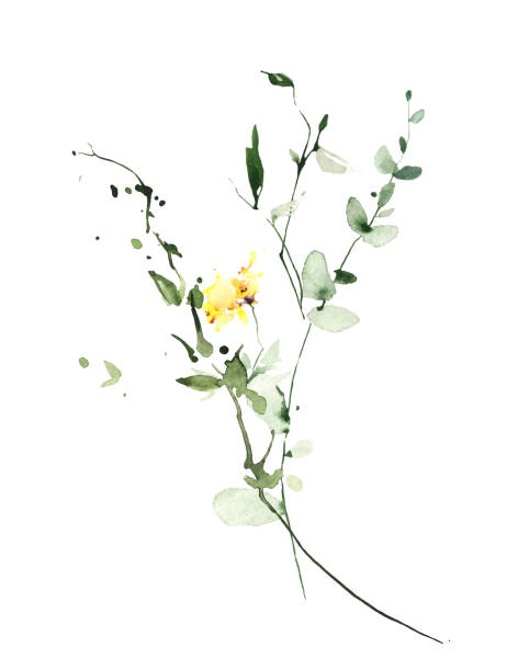 акварельный цветочный букет на белом фоне. желтые полевые цветы, зеленый эвкалипт, травы, листья и веточки. - clover field blue crop stock illustrations