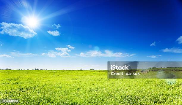 Grüne Feld Über Blauen Clear Sky Stockfoto und mehr Bilder von Abgeschiedenheit - Abgeschiedenheit, Bildhintergrund, Blatt - Pflanzenbestandteile