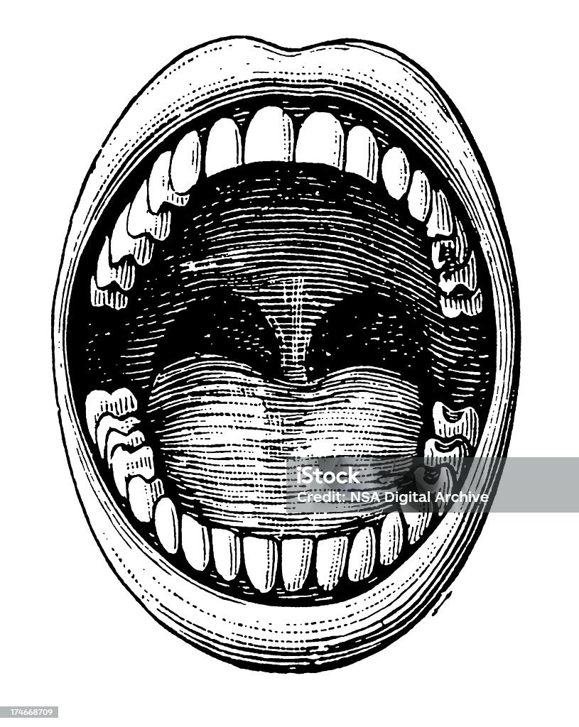 Vintage Clip Art et Illustrations/ouvert bouche de dents - Illustration de Gravure libre de droits