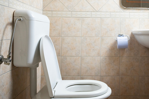 Toilet Seat and Toilet Paper in Domestic Bathroom.