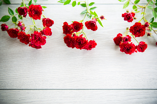 bouquet of red small roses, on a light wooden background.