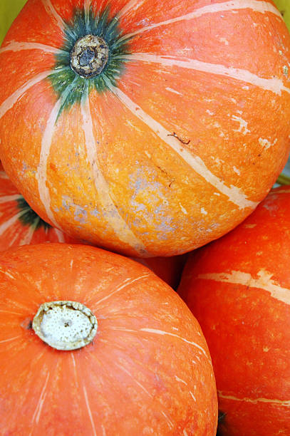 Pumkins - fotografia de stock