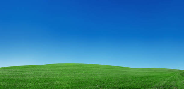 istock Panoramic spring landscape 64MPix XXXXL meadow, blue sky, clouds 174669536