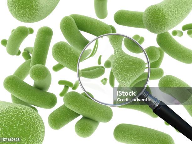 La Investigación Sobre La Green Bacterias Foto de stock y más banco de imágenes de Bacteria - Bacteria, Célula humana, Fondo blanco