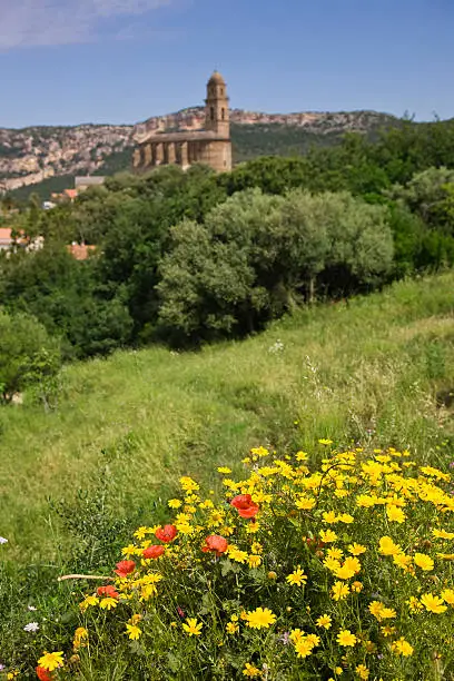 "Church of Saint Martin can be found at Patrimonio, Corsica. Focused on Wild Fowers in the Foreground."