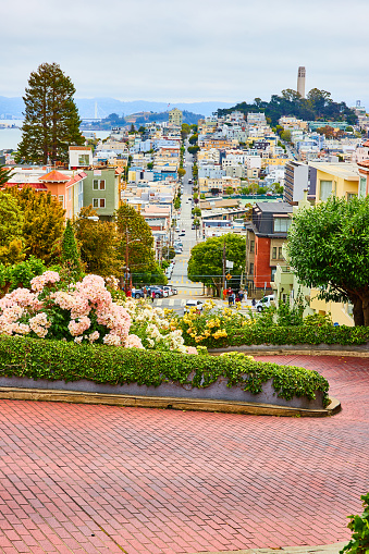 Image of Downward look at Lombard Street with winding road and distant Coit Tower