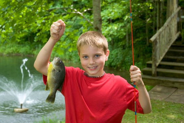 istock Fishing Boy Holding Up A Big Fish (Bluegill) 174670398