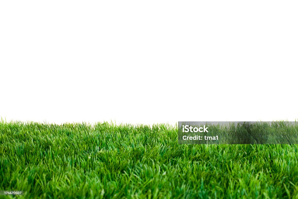 Close up of green grass with white background Artificial Turf in Front of White Background. Focused near Horizon. Grass Stock Photo