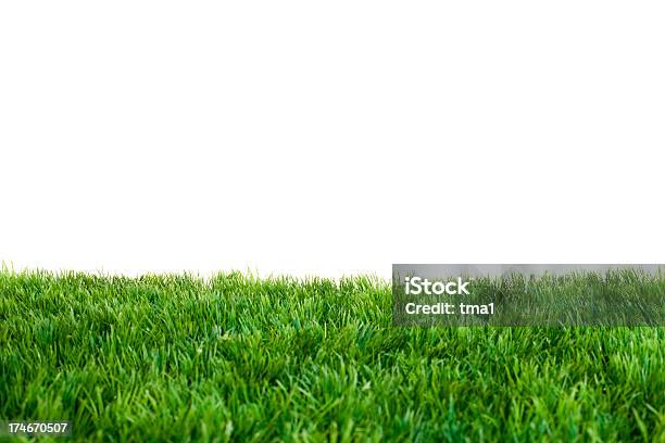 Close Up Of Green Grass With White Background Stock Photo - Download Image Now - Grass, Lawn, Cut Out