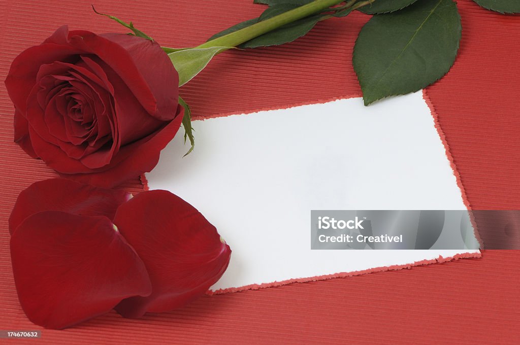Mensaje de amor en blanco sobre fondo rojo con pétalos de rosa - Foto de stock de Tarjeta de regalo libre de derechos