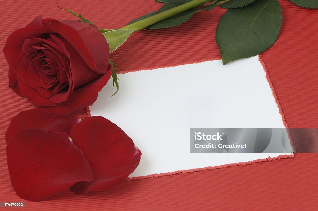 Blank love note on red background with rose petals Blank white card on red background with rose petals&#8211; add your own text.More related images available in lightbox: Gift Tag - Note Stock Photo