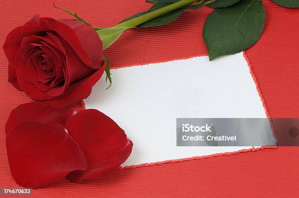 Blank Love Note On Red Background With Rose Petals Stock Photo - Download Image Now - Gift Tag - Note, Single Rose, Anniversary Card