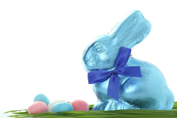 Chocolate Easter Bunny with Jellybeans