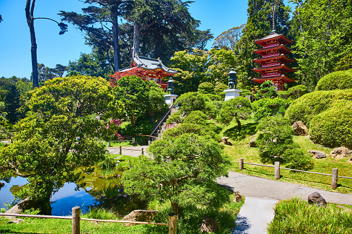 Image of Gorgeous Japanese Tea Garden with blue pond and two red pagoda buildings atop hill with lanterns