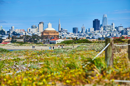 Image of Grassy hill with rope trail leading to Palace of Fine Arts and San Francisco skyscraper skyline