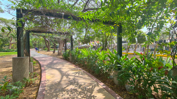 istock Keneddy linear park, guayaquil, ecuador 1746718835